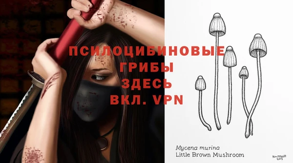 кокаин перу Касимов