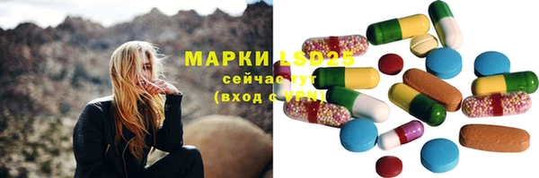прущие грибы Карталы