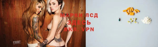 прущие грибы Карталы