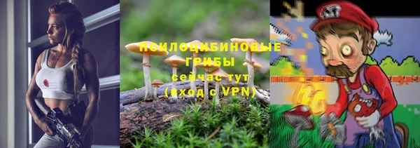 прущие грибы Карталы